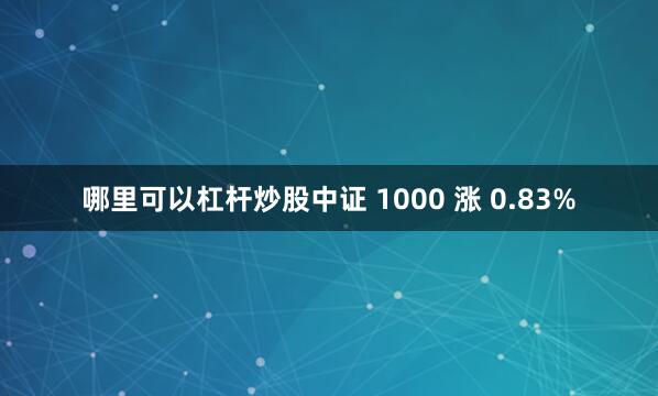 哪里可以杠杆炒股中证 1000 涨 0.83%