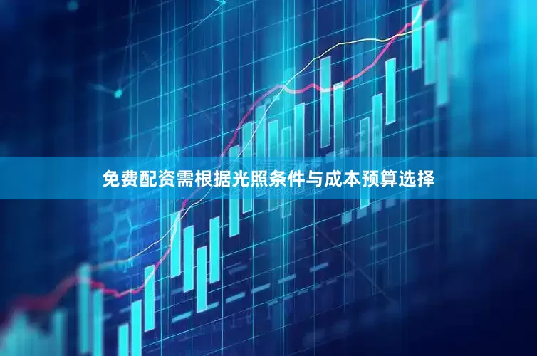 免费配资需根据光照条件与成本预算选择