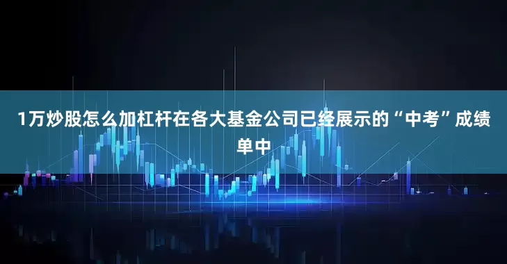 1万炒股怎么加杠杆在各大基金公司已经展示的“中考”成绩单中
